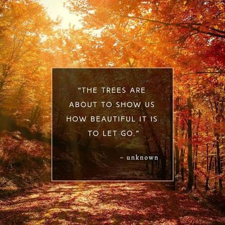 The trees are about to show us