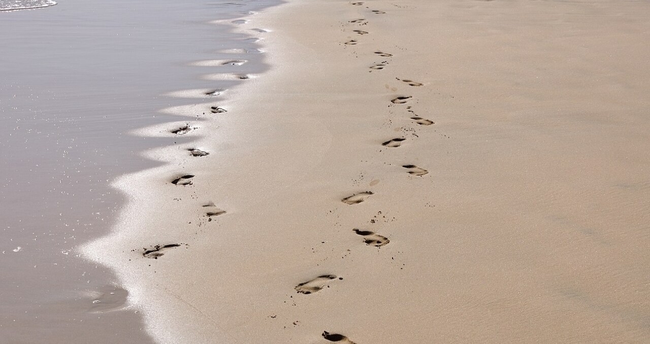 footprints in the sand web